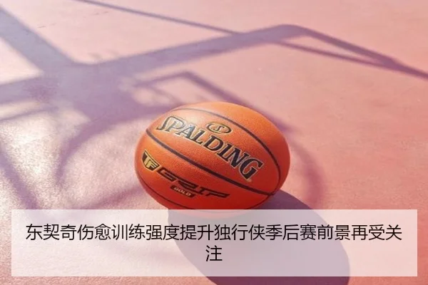 东契奇伤愈训练强度提升独行侠季后赛前景再受关注